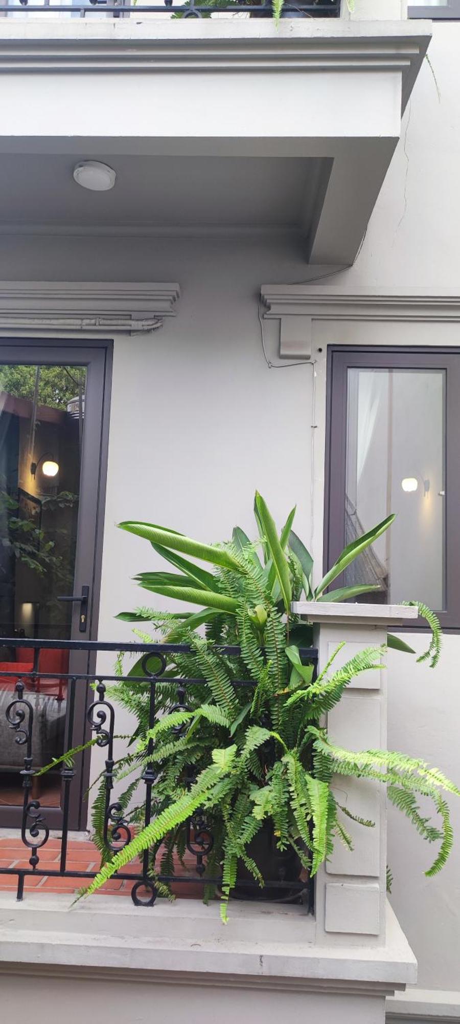 T Home Balcony Homestay ハノイ市 エクステリア 写真