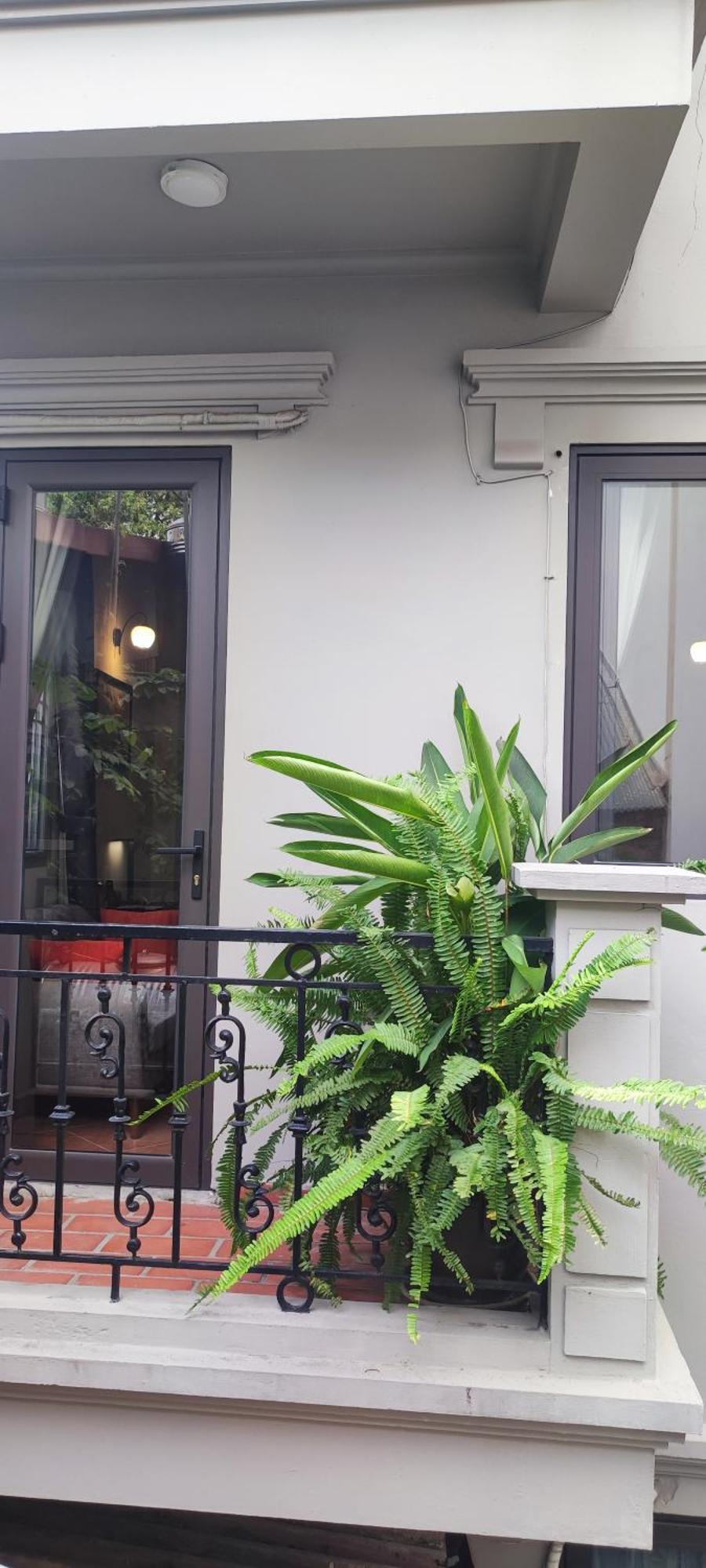 T Home Balcony Homestay ハノイ市 エクステリア 写真